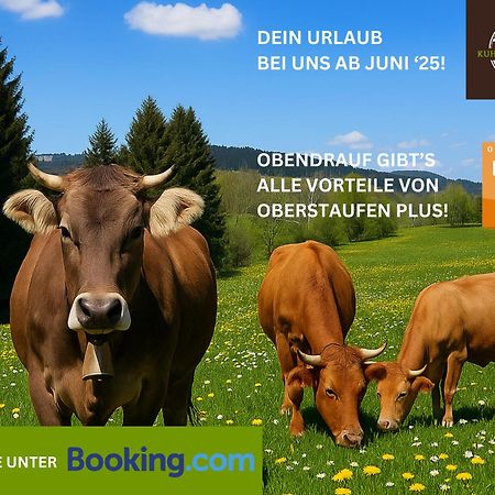 Kuh'Les Hideaway Steibis 3-Zimmer Ferienwohnung 55 M² Oberstaufen Ngoại thất bức ảnh