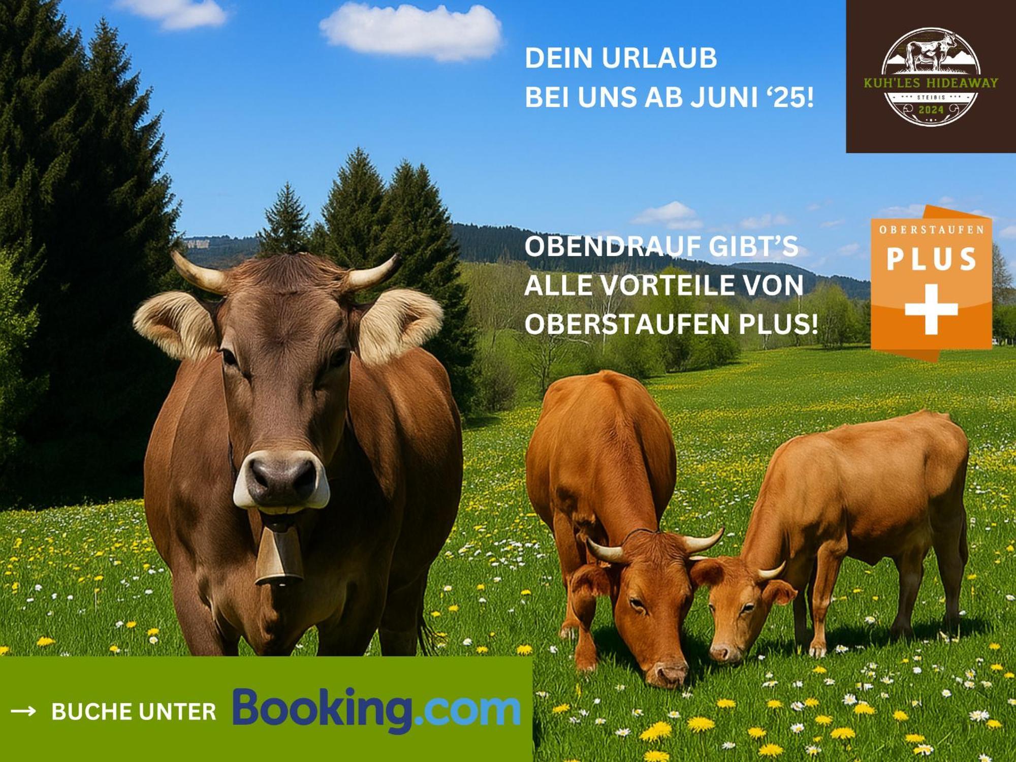 Kuh'Les Hideaway Steibis 3-Zimmer Ferienwohnung 55 M² Oberstaufen Ngoại thất bức ảnh